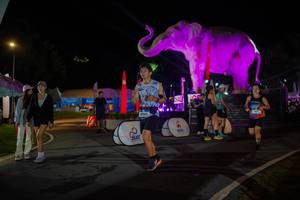 BIB: 
                            <button type="button" onclick="openModal(26552146)" class="btn btn-primary btn-sm float-right btn-popup" data-toggle="modal" data-target=".modal-high-quality">
                        <i class="fas fa-shopping-cart"></i> Add to Cart
                    </button>
                                            <button type="button" onclick="isThisMe(26552146, true)" class="btn btn-success btn-sm float-right btn-popup btn-isme hidden" data-toggle="tooltip" data-placement="bottom" title="นี่คือรูปของคุณใช่ไหม คลิกที่นี่เพื่อเอาเข้าอัลบั้ม">
                        <i class="fas fa-plus"></i> Add to album
                    </button>
                    <button type="button" onclick="isThisMe(26552146, false)" class="btn btn-warning btn-sm float-right btn-popup btn-isnotme hidden">
                        <i class="fas fa-ban"></i> Remove from album
                    </button>